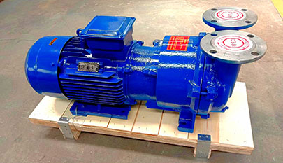 2BV Vacuum Pump